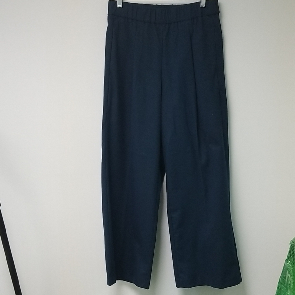Ann Taylor Dark Teal Blue Wide-Leg Pants NWT 6 Petite